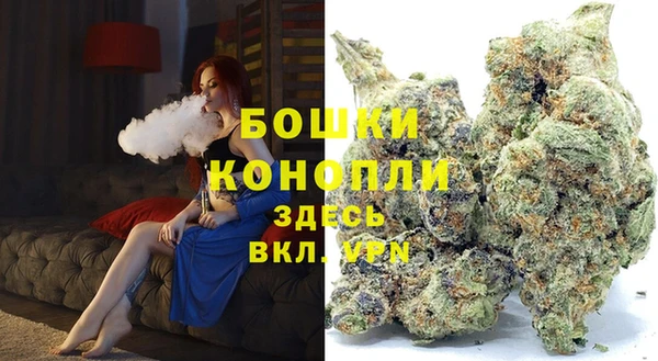 гидропоника Гусиноозёрск