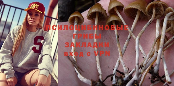 гидропоника Гусиноозёрск