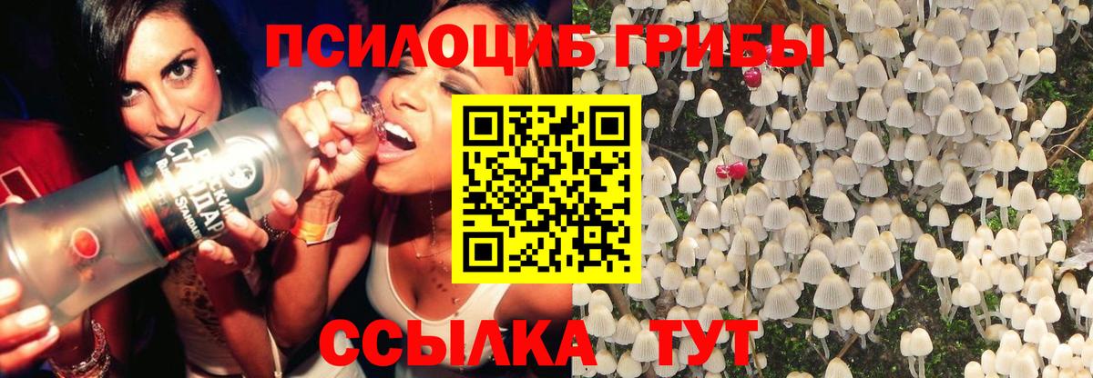 Звенигород  Псилоцибиновые грибы мухоморы  закладка  Галлюциногенные грибы Magic Shrooms  Вход с VPN 